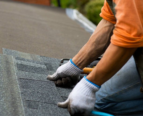 Best Storm Damage Roof Repair  in Ridge, NY